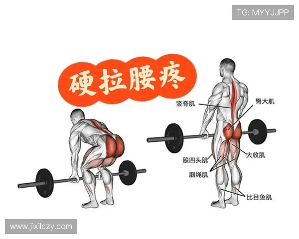 腰疼人群适合的健身器材锻炼方案